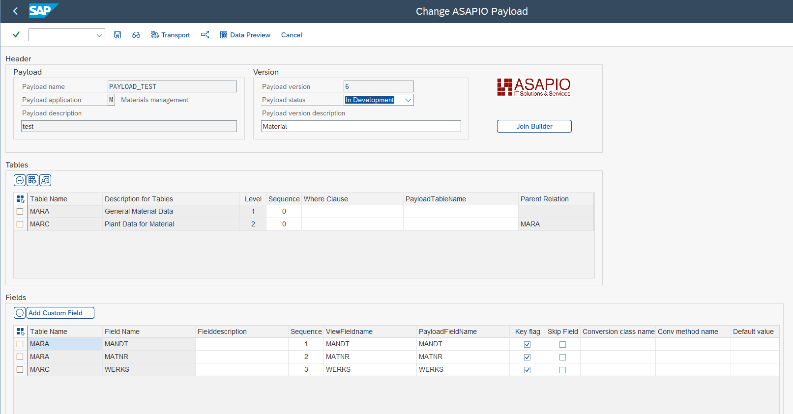 Payload Designer version screen with tables and fields filled in