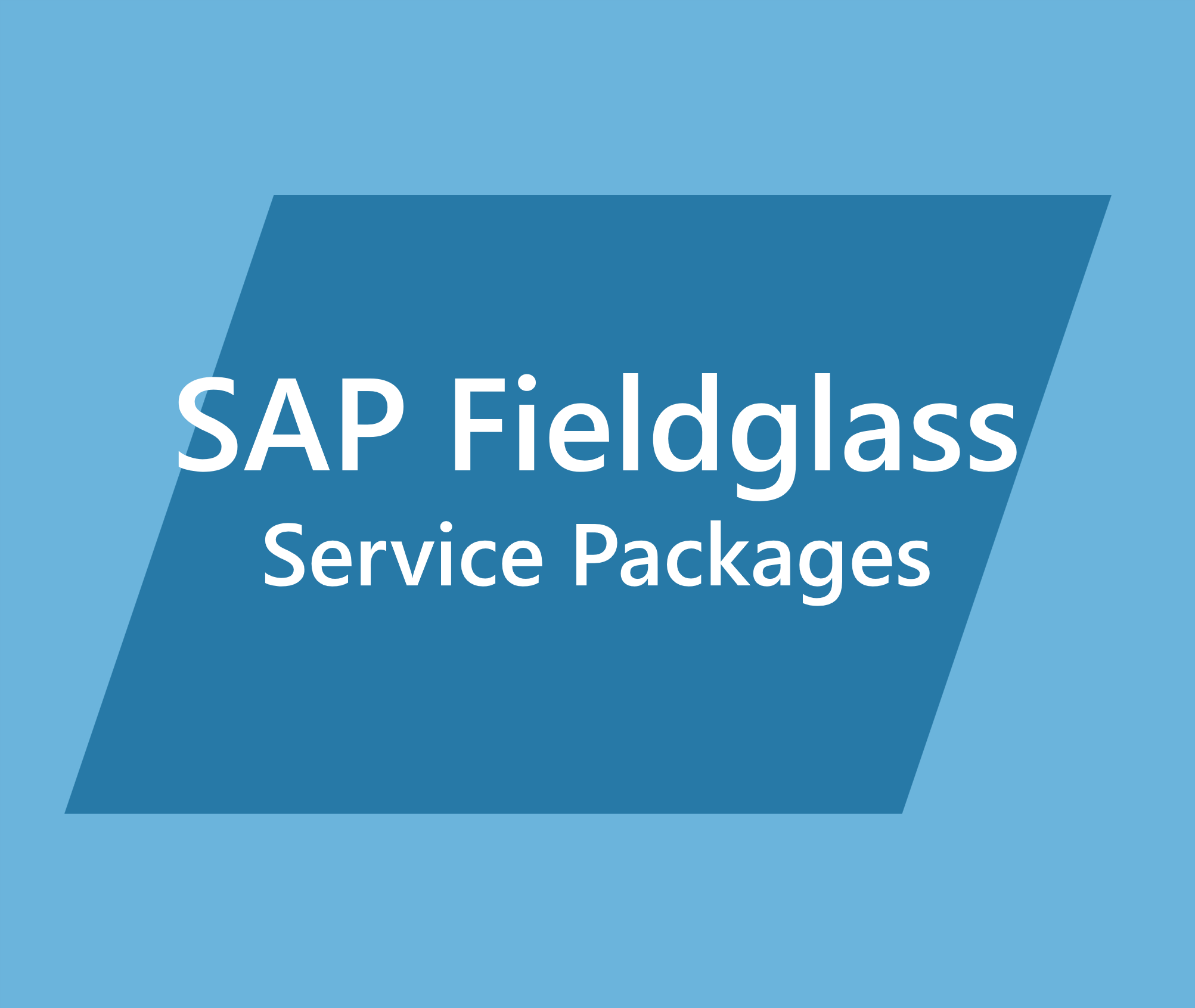 ASAPIO's Service Packages for SAP Fieldglass