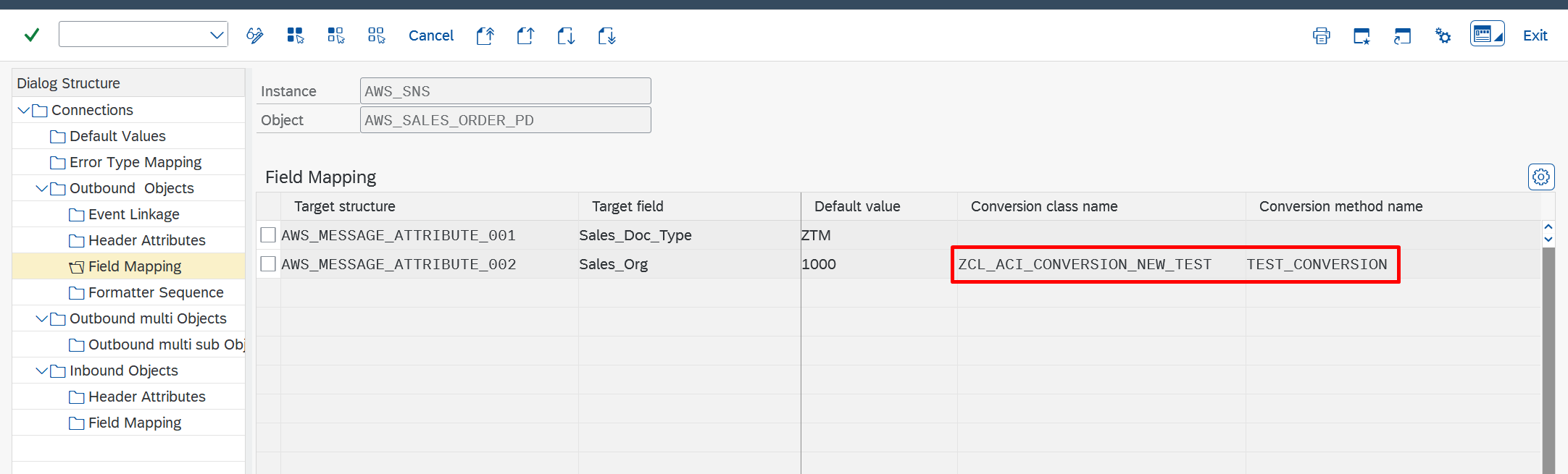 SNS custom attribute conversion methods