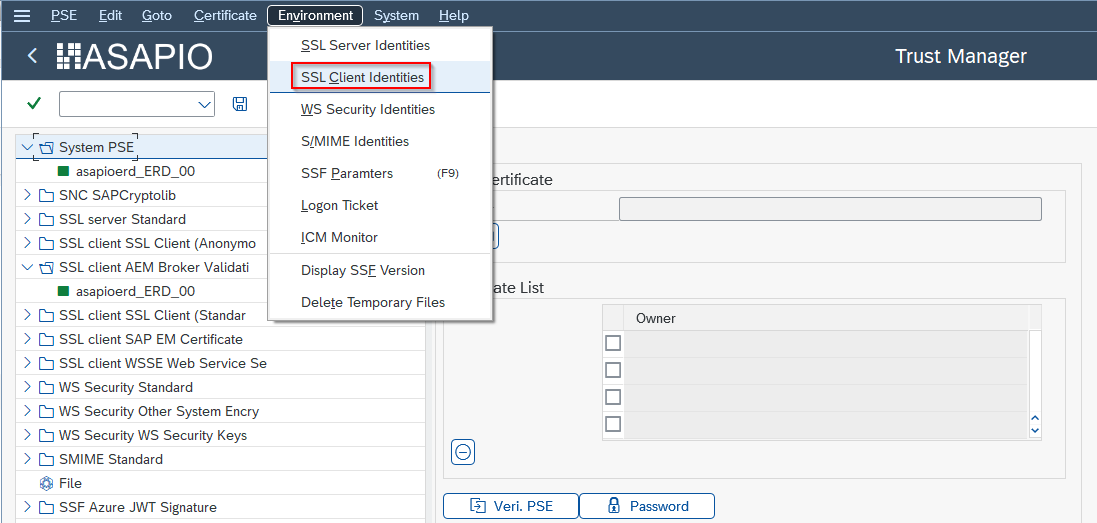 SSL Client Identities in STRUST