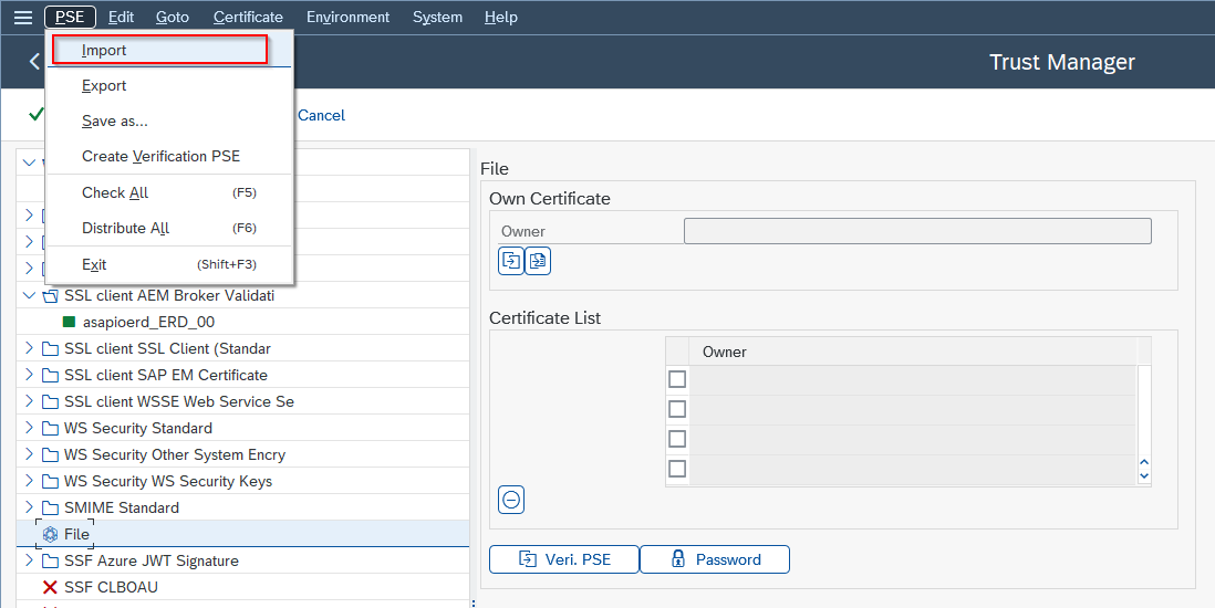 Import PSE file in STRUST