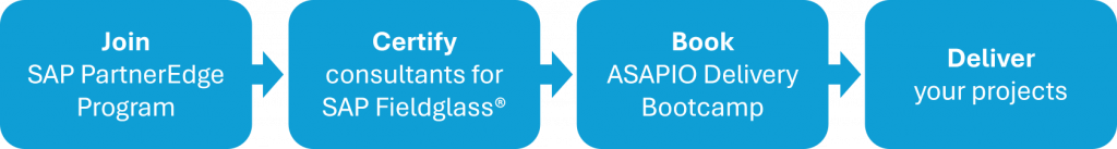 Visualization of ASAPIO's Delivery Bootcamp Partner Enablement Journey